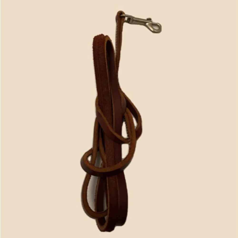 Pup  Brown Leather Leash - Offers Welcomed
